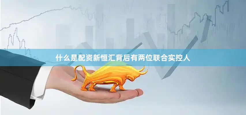 什么是配资新恒汇背后有两位联合实控人