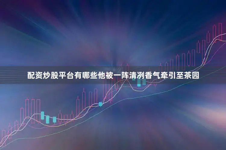 配资炒股平台有哪些他被一阵清冽香气牵引至茶园