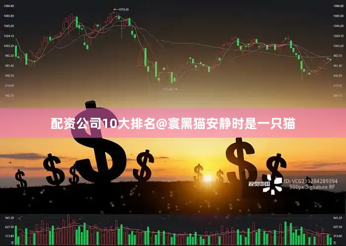 配资公司10大排名@寰黑猫安静时是一只猫