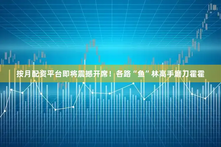 按月配资平台即将震撼开席！各路“鱼”林高手磨刀霍霍