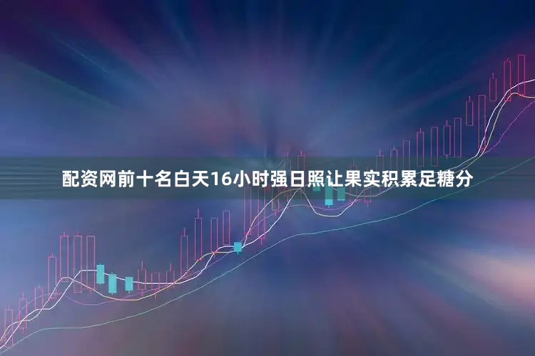 配资网前十名白天16小时强日照让果实积累足糖分