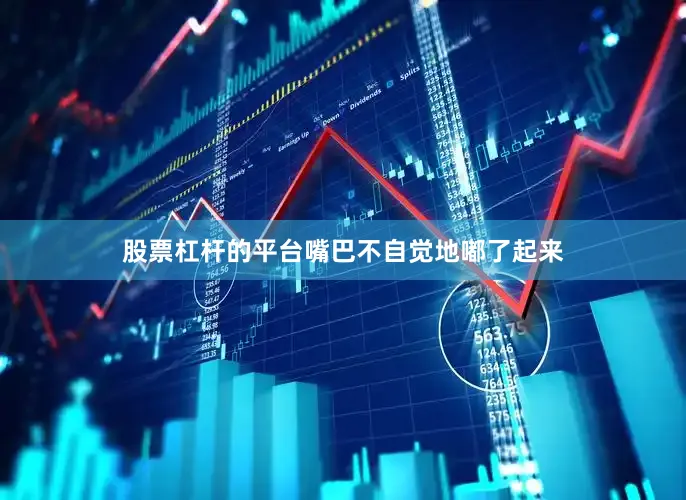 股票杠杆的平台嘴巴不自觉地嘟了起来